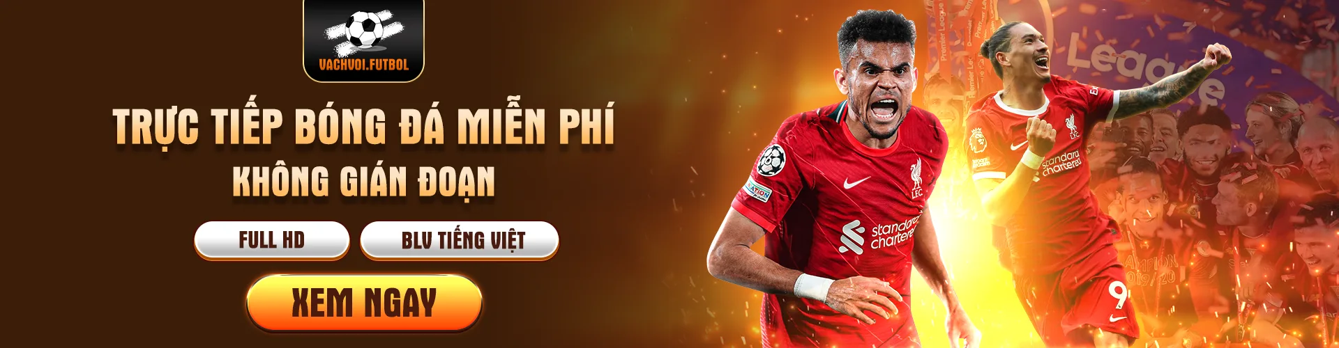 banner vachvoitv