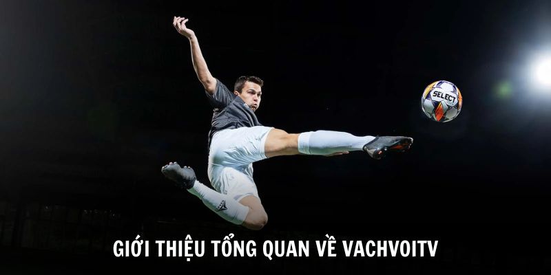 Giới thiệu tổng quan thông tin về trang web VachvoiTV