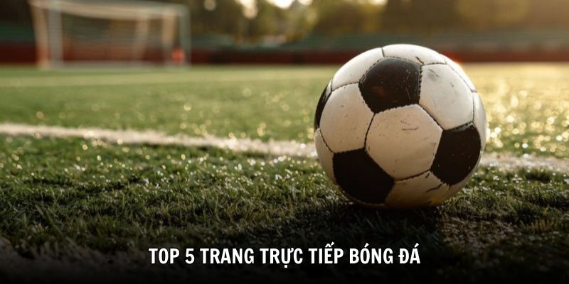 top 5 trang trực tiếp bóng đá