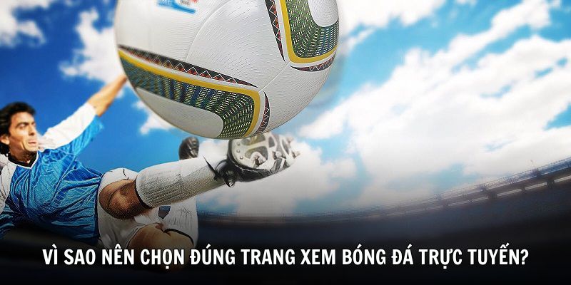 Lý do nên chọn đúng trang xem bóng đá trực tuyến